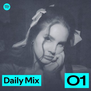 Daily Mix 1 playlist artwork